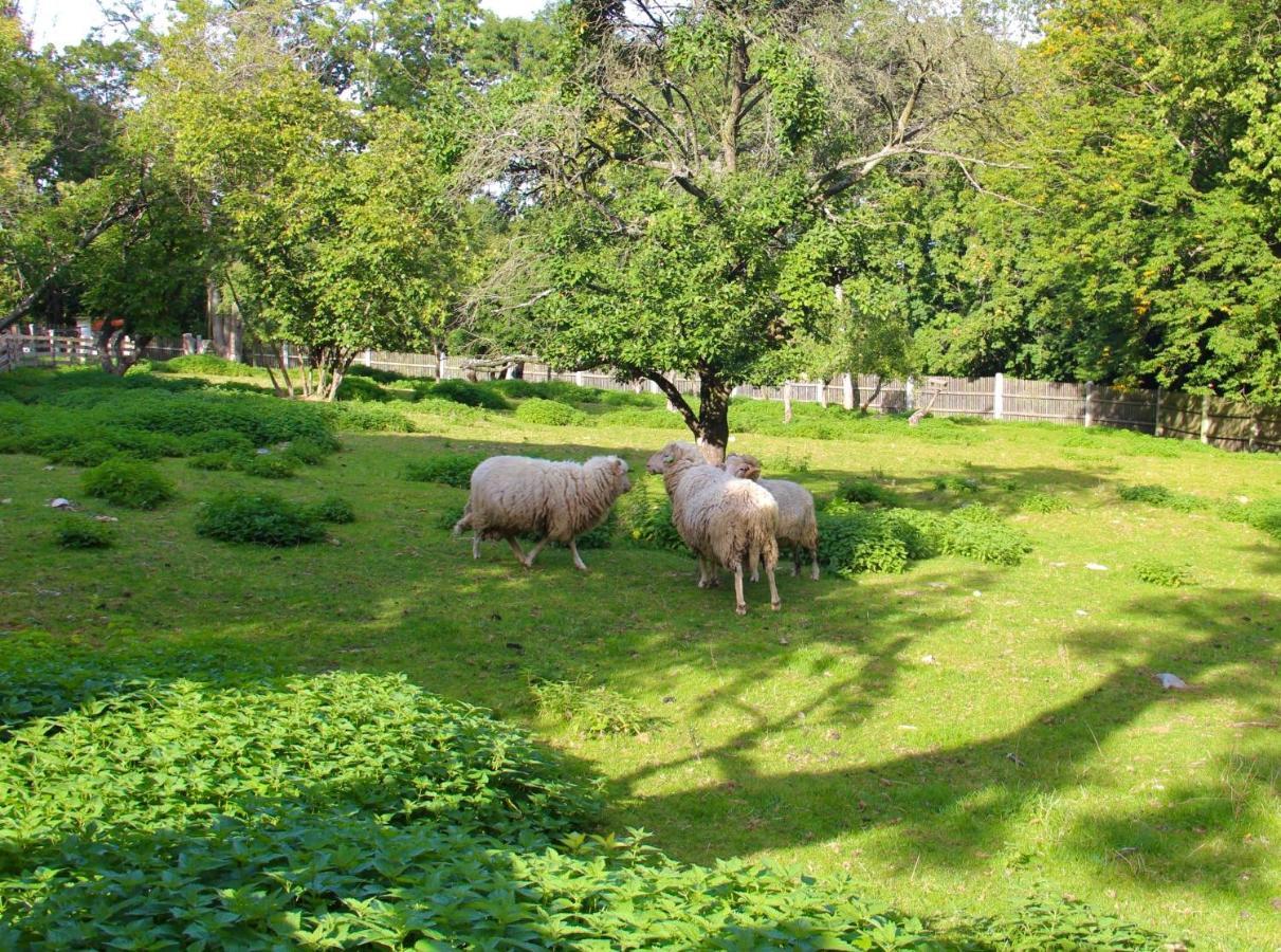 Villa Lovecky Zamecek Pod Milesovkou Teplice